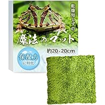 カエルのｔ係さま専用ページ　2つ目 51Dvwv5-HfL._AC_SY200_QL15_.jpg